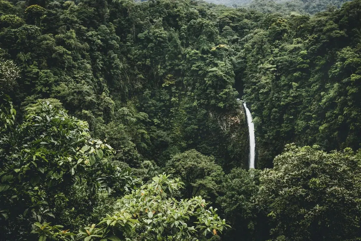 La Fortuna Waterfall dropping into its green pool on the La Fortuna waterfall volcano hot springs tour in Costa Rica